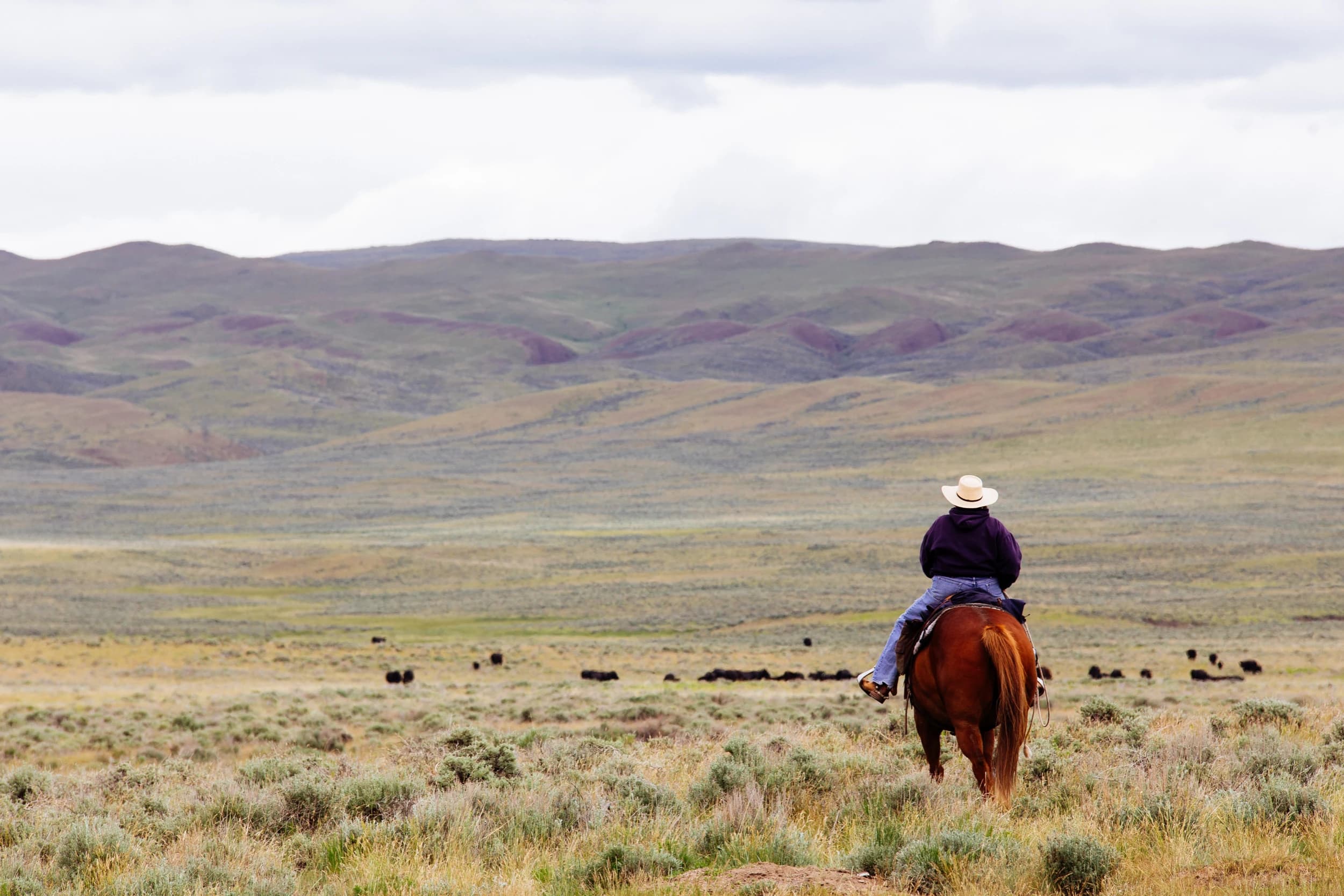 Stone Ranch Montana