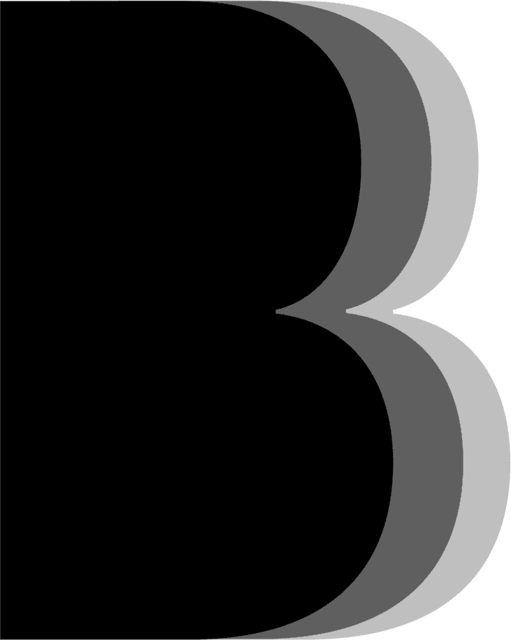 Bernard Kintzing LLC logo