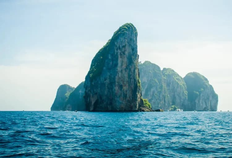 tois thai web development client