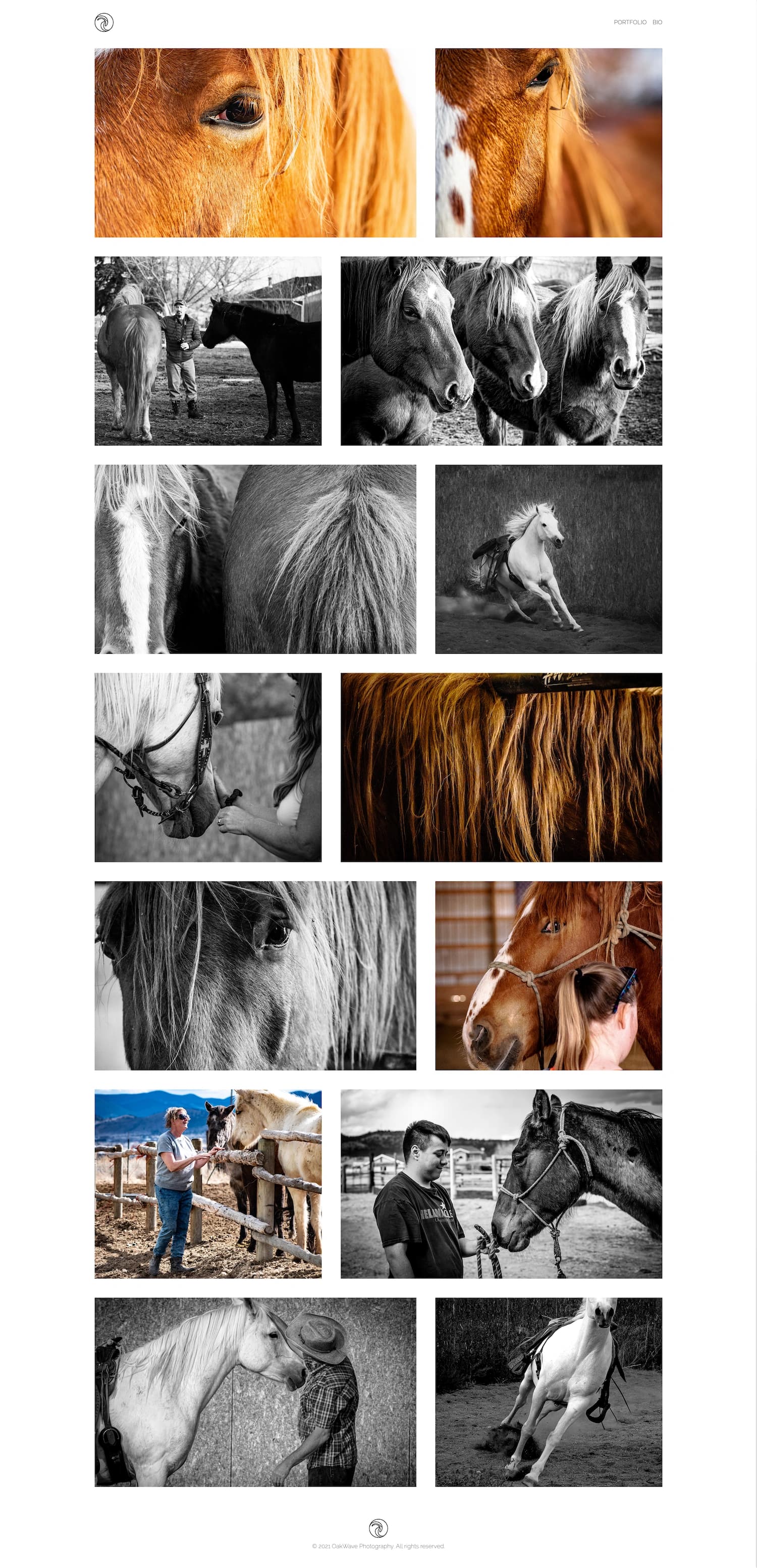 animal portfolio for oakwave photography