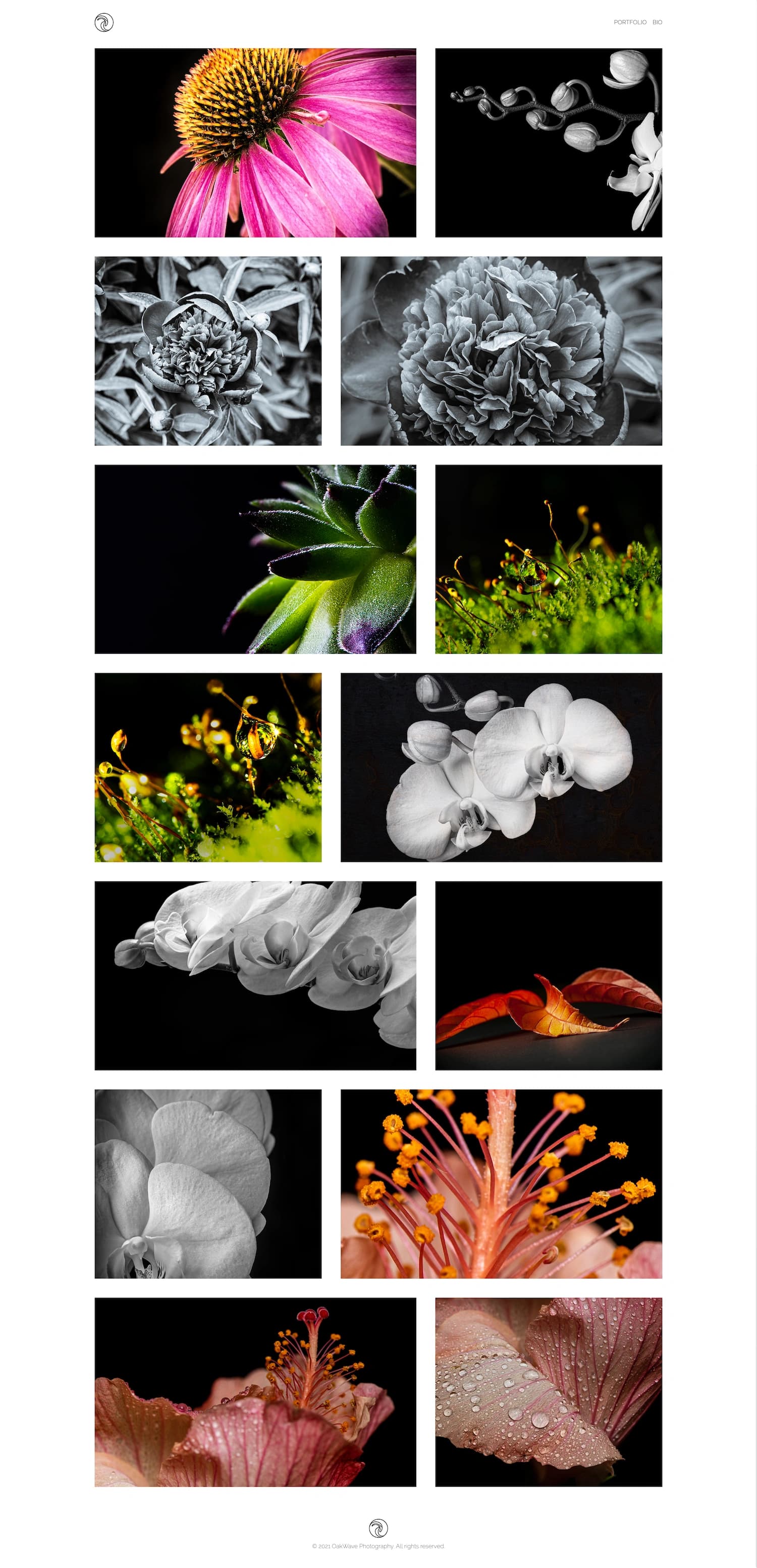 macro portfolio for oakwave photography