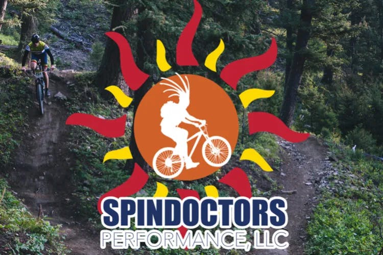 spindoctors performance web development client