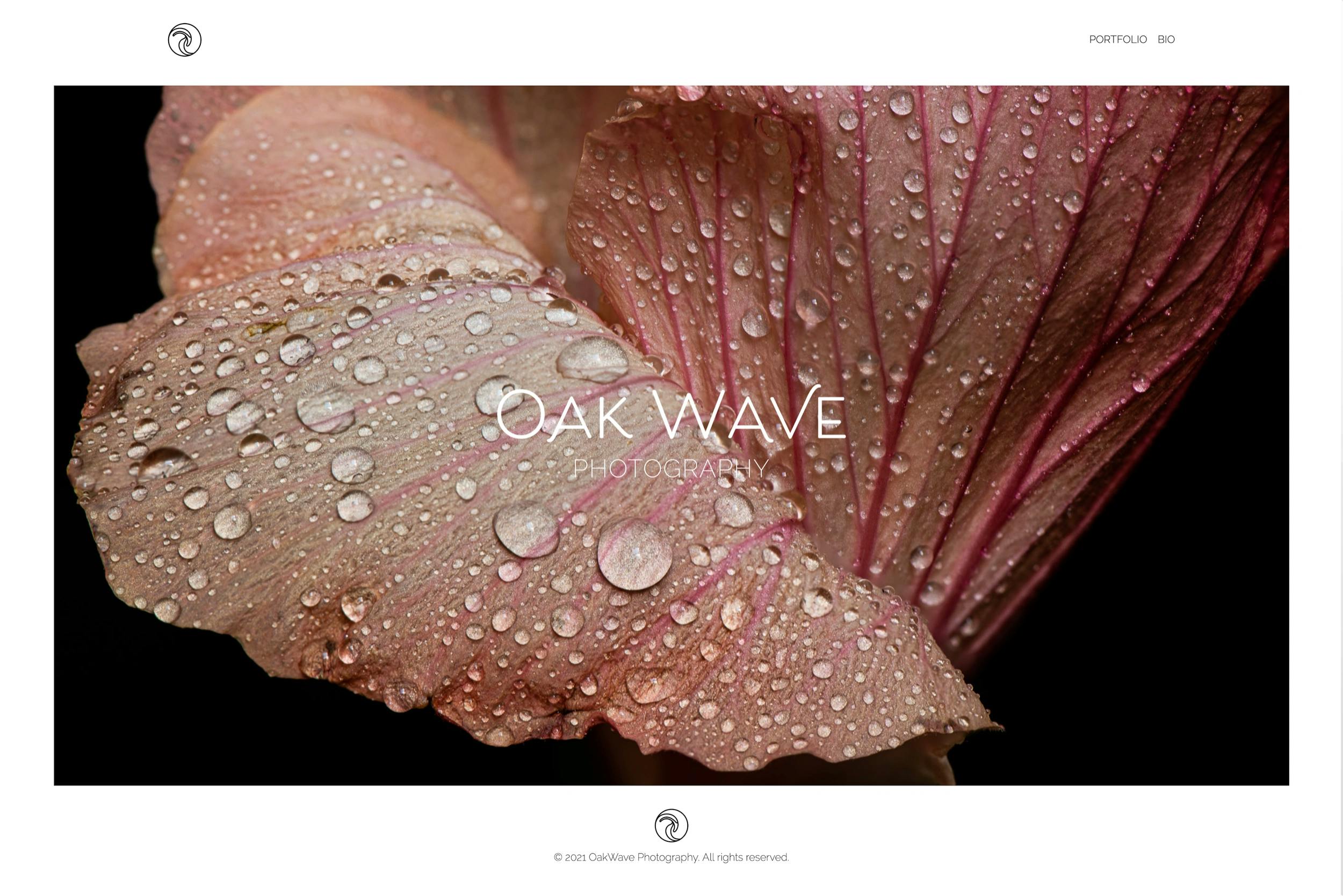 website homepage for oakwave photography